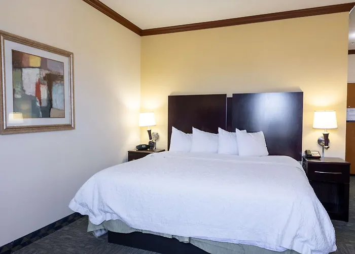 Hampton Inn Alice